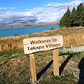 Lake Tekapo