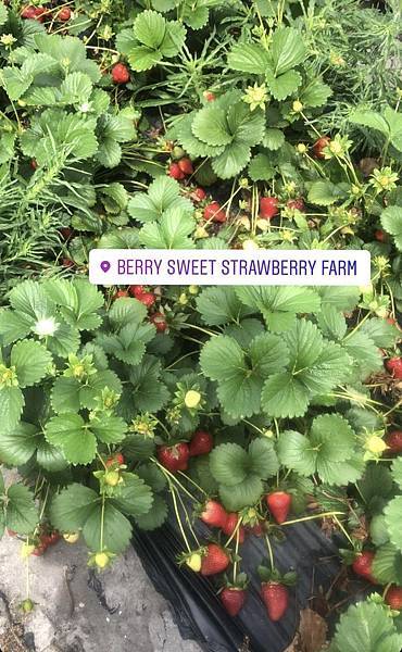 IMG_7749.jpg IMG_7749.jpg