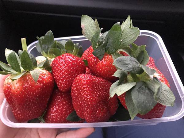 IMG_3342.JPG IMG_3342.JPG