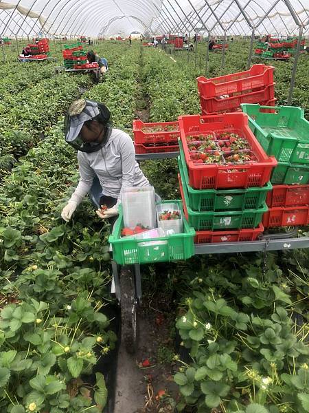 IMG_3734.JPG IMG_3734.JPG