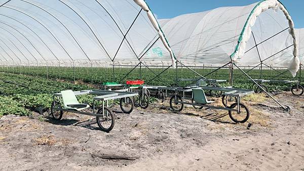 556864791.829237.JPG 556864791.829237.JPG