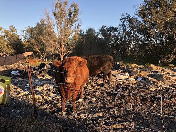 IMG_3348.JPG IMG_3348.JPG