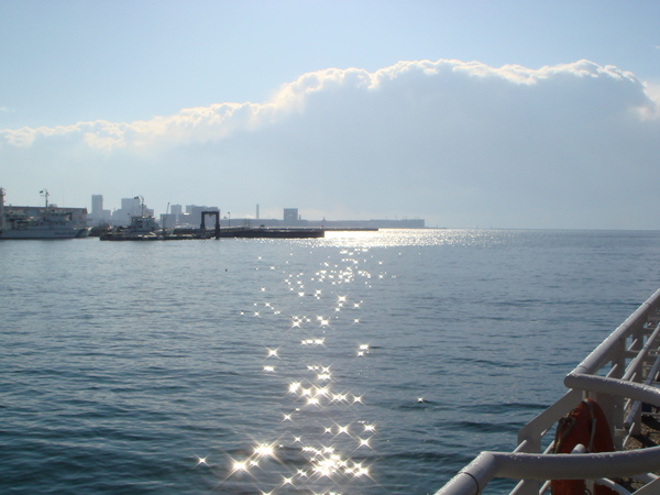 DSC07558.JPG