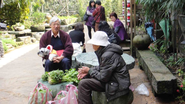 台北深坑石碇美食景觀餐廳九寮坡