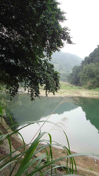 石碇楓林渡淡蘭古道