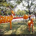 DSC04444-5.jpg