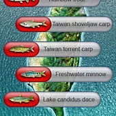 魚種分佈