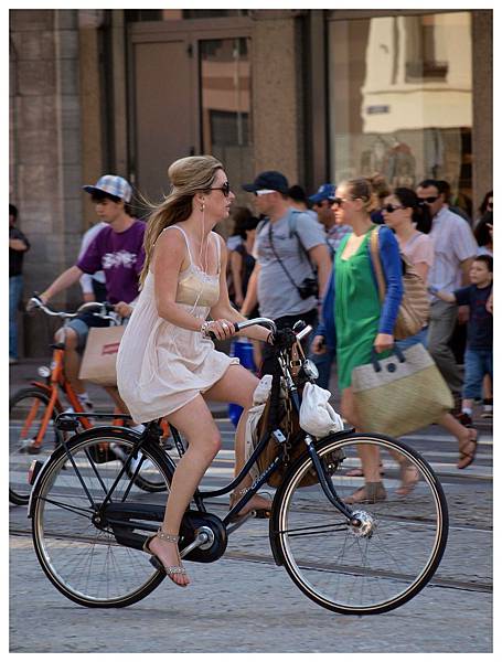 cycle chic gazelle cycle chic gazelle