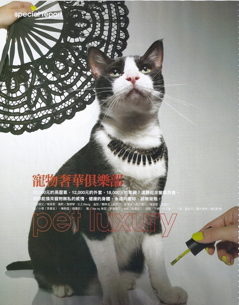 20110701 MarieClaire_Cat.jpeg 20110701 MarieClaire_Cat.jpeg