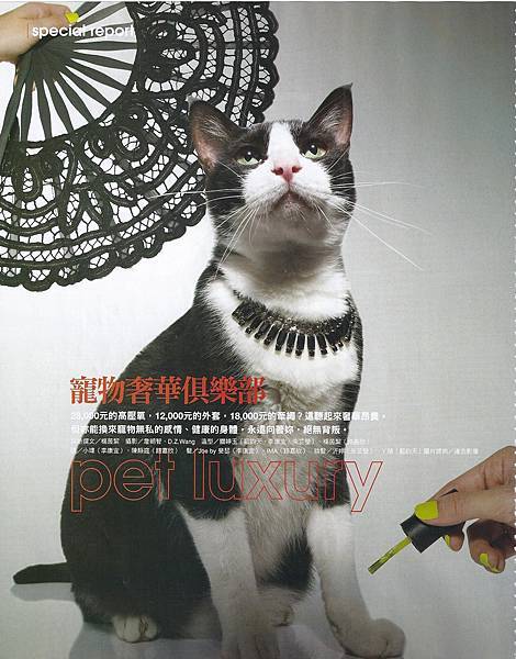 20110701 MarieClaire_Cat.jpeg