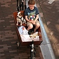 boy-ball-bike-and-dog.jpg