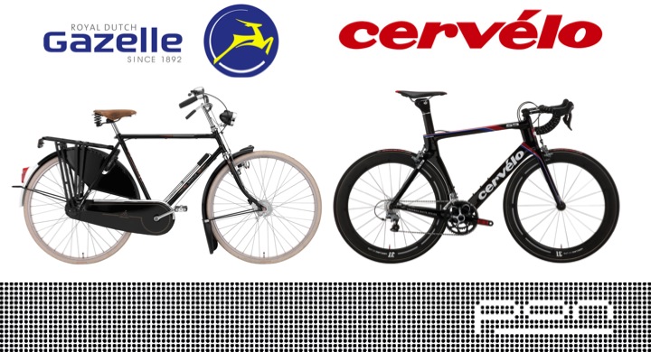 gazelle cervelo