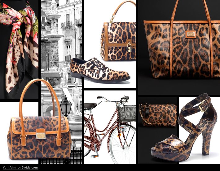 DG Leopard系列04 DG Leopard系列04