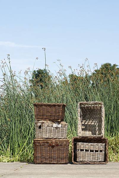 Basil Rattan baskets in grass field-1