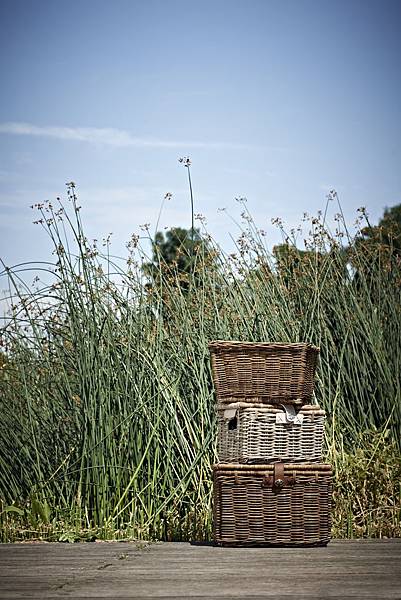 Basil Rattan baskets in grass field-2