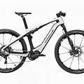 Porsche-eBike-Sport-DT-web-007-810x540.jpg