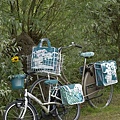 Basil Jasmin & Blossom Scrap on bicycles.jpg