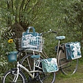 Basil Jasmin & Blossom Scrap on bicycles (Large).jpg