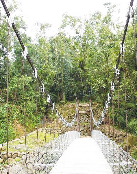 1446-6 巨報探險隊 米洋吊橋