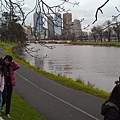 亞拉河與Melbourne city