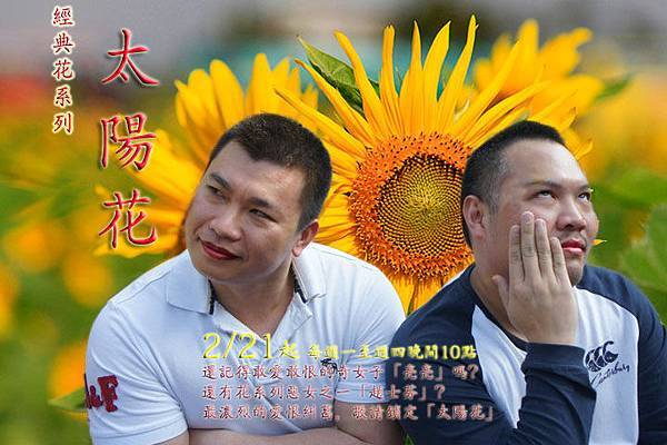 太陽花.jpg