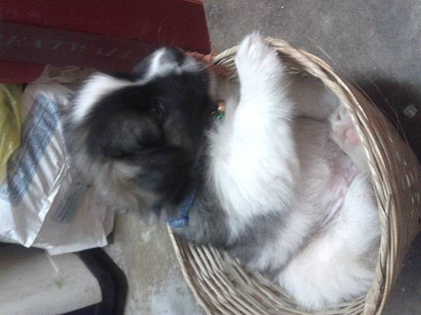 20130812_174936.jpg