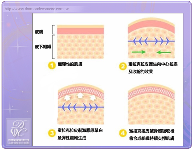 底圖03