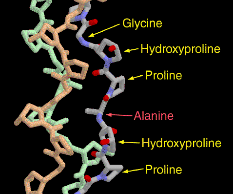 1cag_bonds