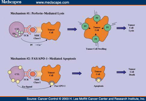 art-cc452007.fig2 art-cc452007.fig2