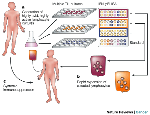 nrc1167-i1 nrc1167-i1