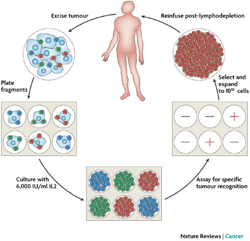 nrc2355-f1 nrc2355-f1