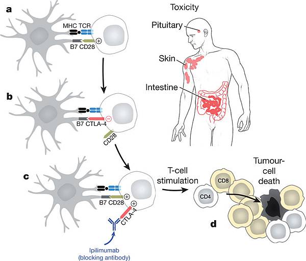 nature10673-f2.2 nature10673-f2.2