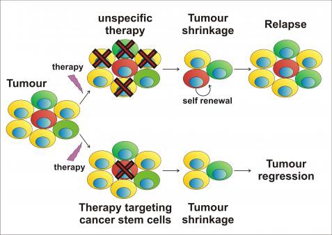 illustration eurostem cell 02 therapy.img_assist_custom-479x338 illustration eurostem cell 02 therapy.img_assist_custom-479x338