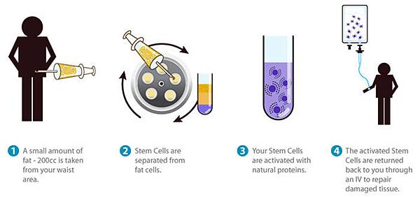 DB_Pro_StemCell_HowDoStemCellsWork DB_Pro_StemCell_HowDoStemCellsWork