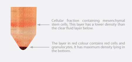 e_img_ourservice_01 e_img_ourservice_01