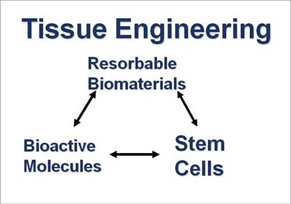 AMS-2-8-g001 AMS-2-8-g001