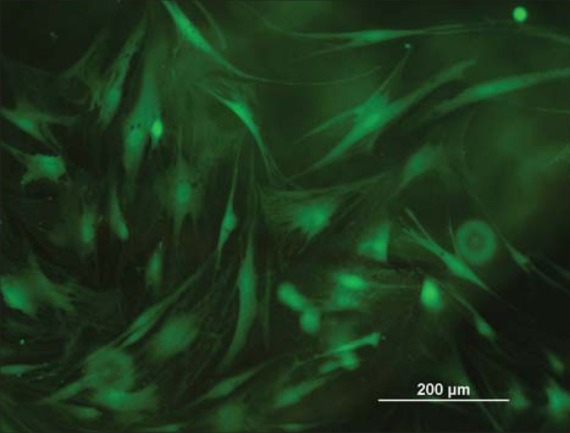 AMS-2-8-g003 AMS-2-8-g003