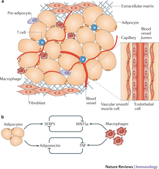 nri2921-f2 nri2921-f2