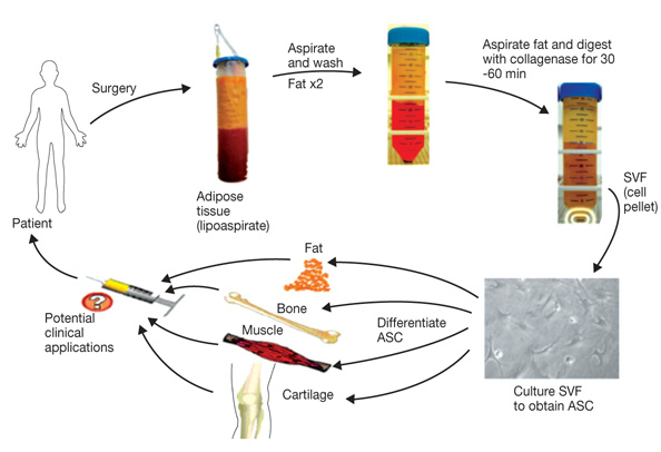jkma-55-757-g001-l jkma-55-757-g001-l