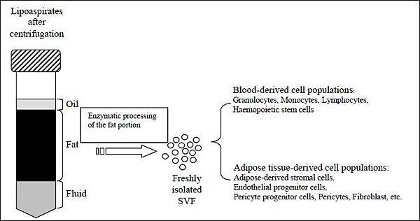 ijps_2012_45_2_229_101285_f2 ijps_2012_45_2_229_101285_f2