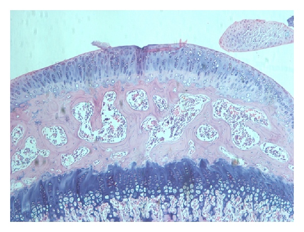 832396.fig.003a 832396.fig.003a