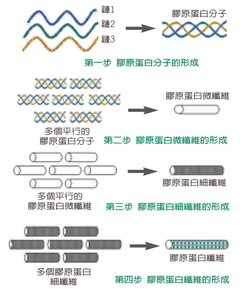 圖片2(1)