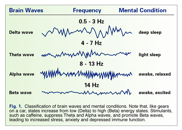 6-L-theanine_Alpha_Waves