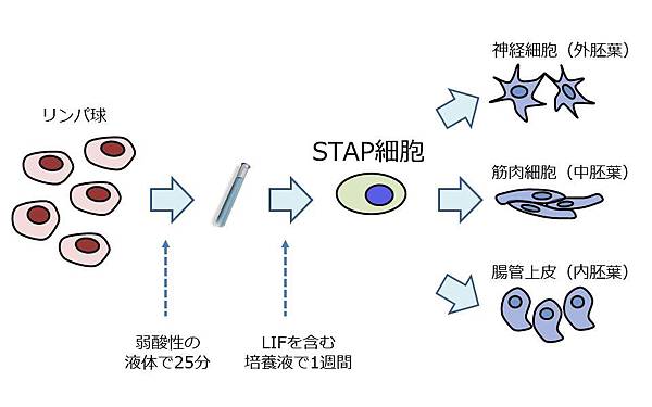 6-20140130_shimizu_01