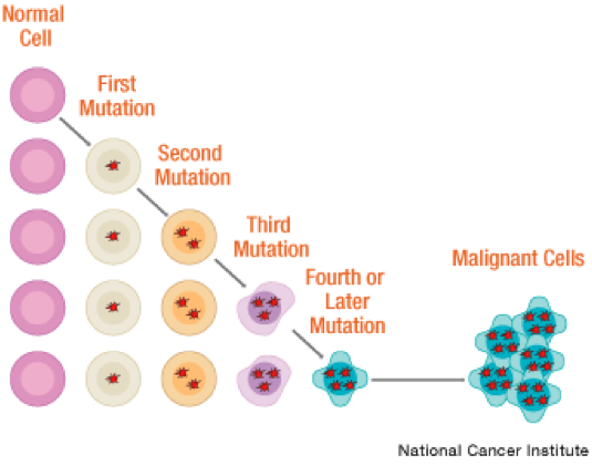 mutations