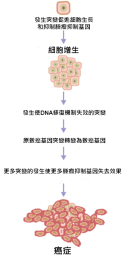 250px-Cancer_requires_multiple_mutations_from_NIH