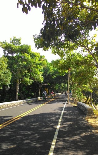 舊草嶺隧道自行車道