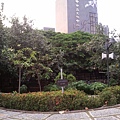 20140717_183033.jpg