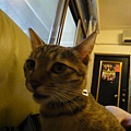 20101219