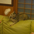 20110317